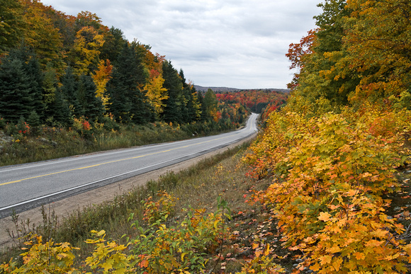Highway 60, Algonquin Provincial Park